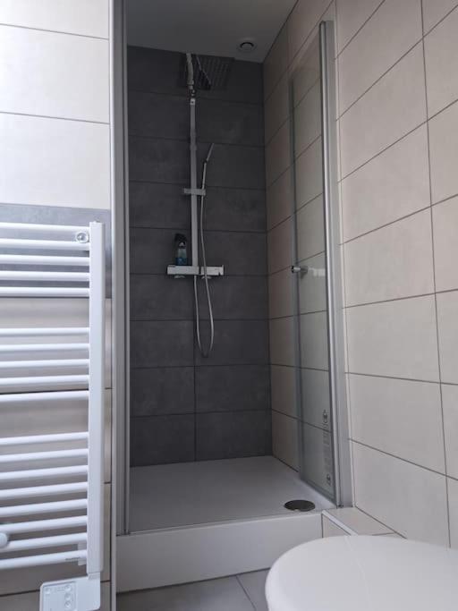 Appartement Sierentz מראה חיצוני תמונה