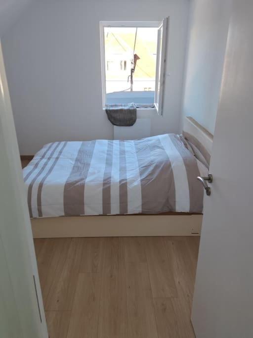 Appartement Sierentz מראה חיצוני תמונה