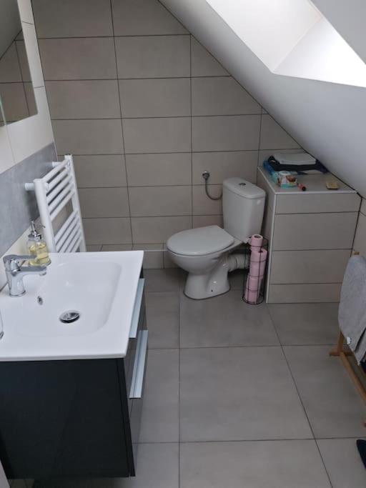 Appartement Sierentz מראה חיצוני תמונה